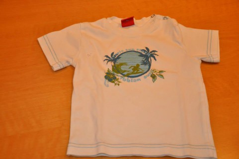 shirt-481x320.jpg